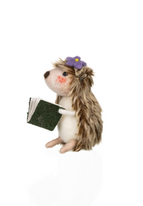 Shoeless Joe Hedgehog Reading